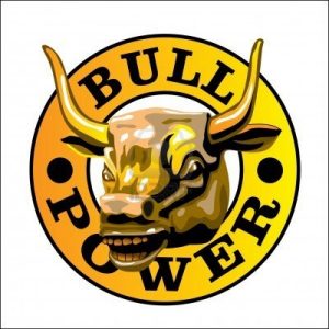 6098414-bull-s-power[1]