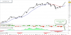 Ibex medium