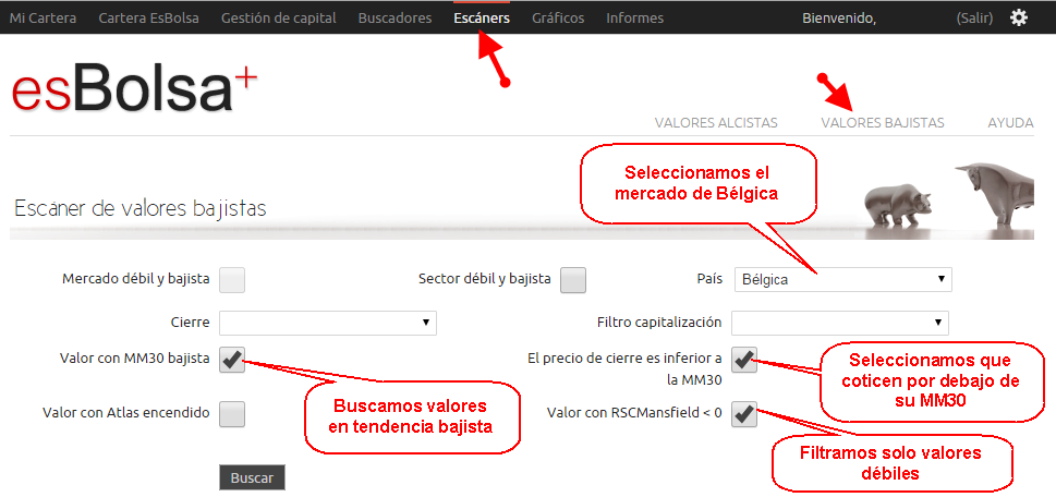 buscador bajista bélgica