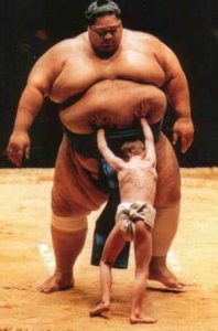 sumo[1]